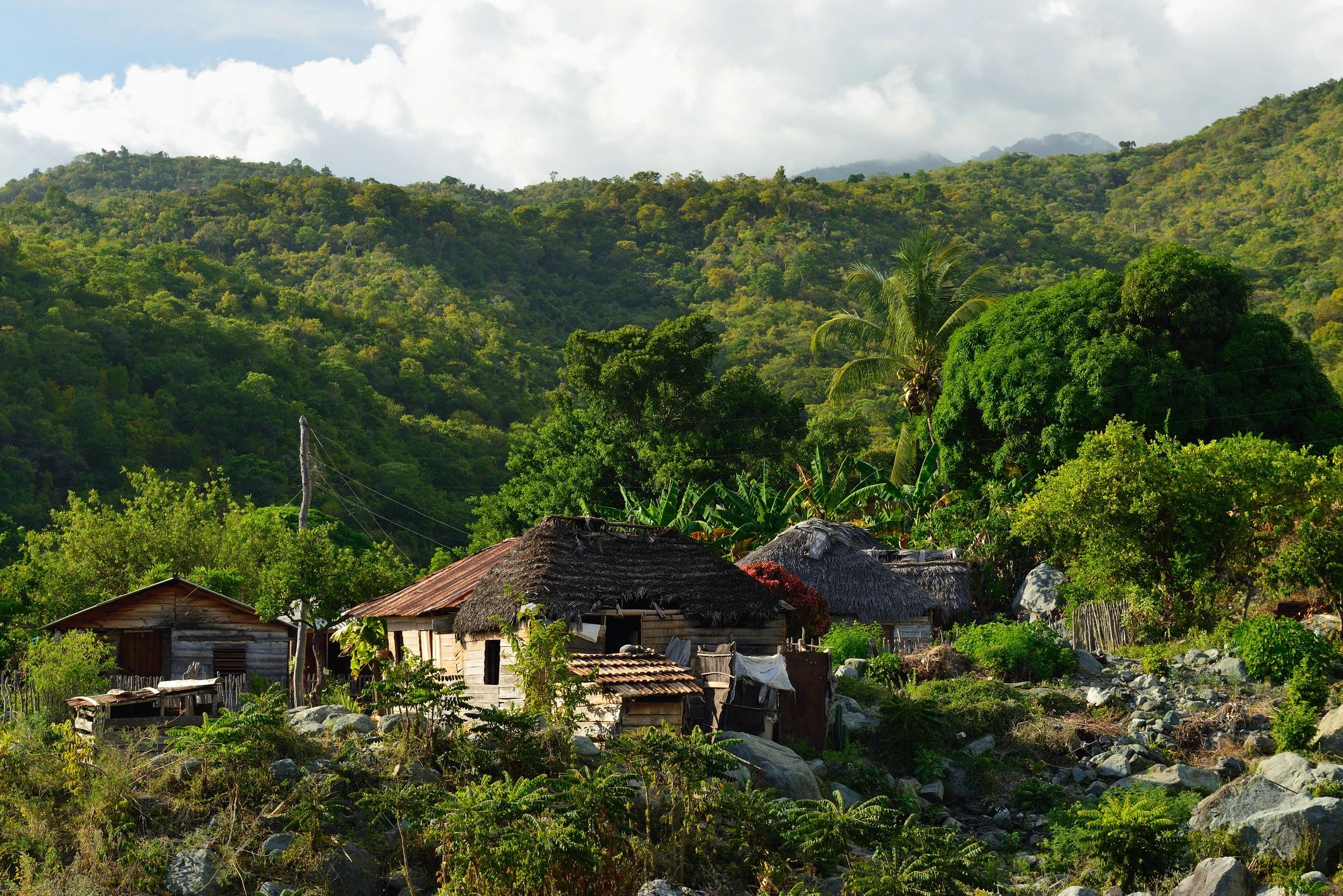 Café y gastronomía Barahona